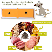 Rat & Mouse Glue Trap Sheets